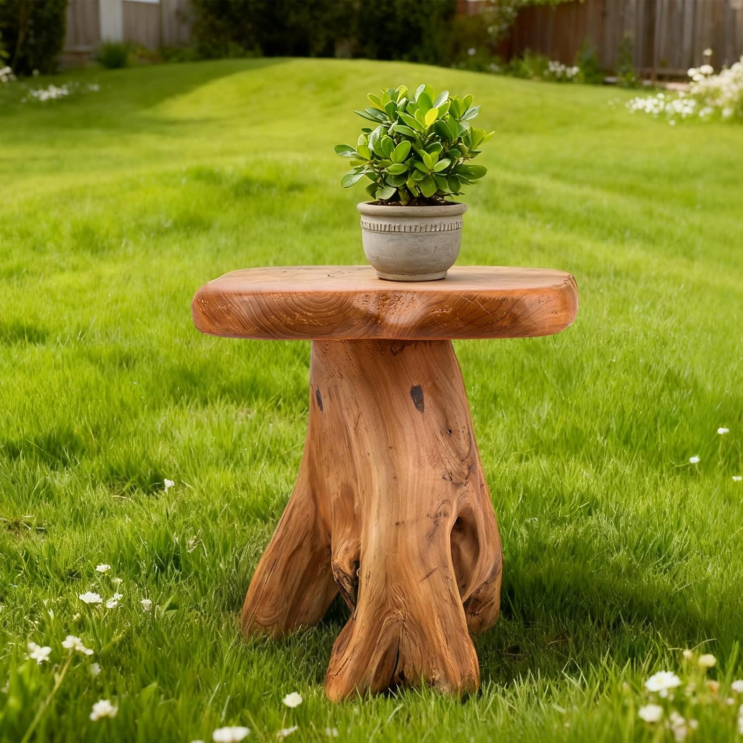 Live Edge Wood Freeform Side Table